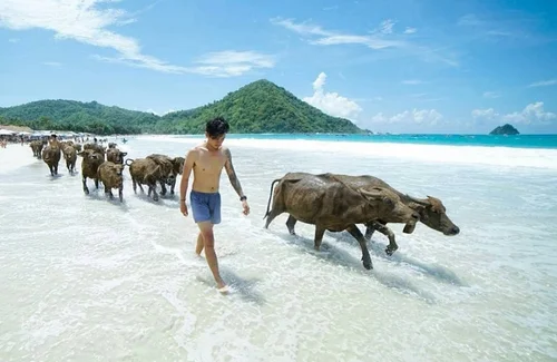 Paket-Tour-Lombok-Sisi-Lombok, Wisata-Gili-Trawangan-Murah
